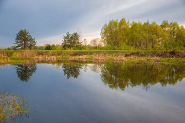 Bahar catering. Bir güzel bahar yatay bir bataklık, gündoğumu. Yeşil orman ve bulutlu gökyüzü bulutlu. Açık havada doğal çevre kavramı.