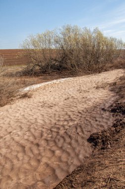 Bahar manzara. bahar alanında son kar. engebeli arazi. ağaçların yaprakları olmadan. ilk sıcak günleridir