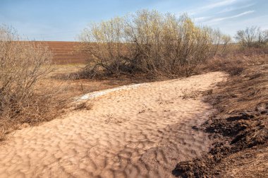 Bahar manzara. bahar alanında son kar. engebeli arazi. ağaçların yaprakları olmadan. ilk sıcak günleridir