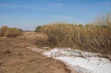 Bahar manzara. bahar alanında son kar. engebeli arazi. ağaçların yaprakları olmadan. ilk sıcak günleridir