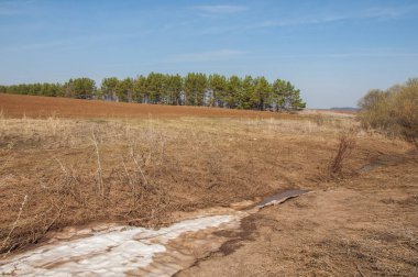 Bahar manzara. bahar alanında son kar. engebeli arazi. ağaçların yaprakları olmadan. ilk sıcak günleridir