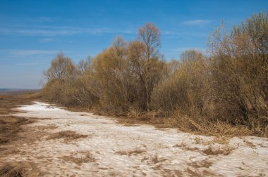 Bahar manzara. bahar alanında son kar. engebeli arazi. ağaçların yaprakları olmadan. ilk sıcak günleridir