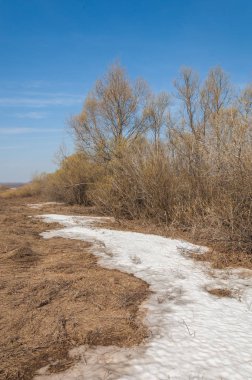 Bahar manzara. bahar alanında son kar. engebeli arazi. ağaçların yaprakları olmadan. ilk sıcak günleridir
