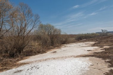 Bahar manzara. bahar alanında son kar. engebeli arazi. ağaçların yaprakları olmadan. ilk sıcak günleridir