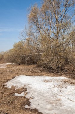 Bahar manzara. bahar alanında son kar. engebeli arazi. ağaçların yaprakları olmadan. ilk sıcak günleridir