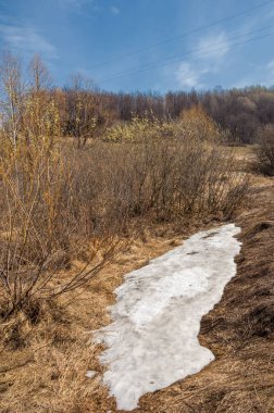 Bahar manzara. Taze sürülmüş alan. engebeli arazi. ağaçların yaprakları olmadan. Çok renkli bahar ağaçları. Geçen yılki kış kar kalan. Son kar.