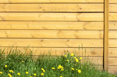 Doku, arka plan, desen. İyi bir arka plan. Panoları kalkan olarak bağlanır. Ahşap duvar yeşil çim ile. Ahşap doku, doğal ahşap arka plan.