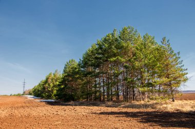 Bahar manzara. bahar alanında son kar. engebeli arazi. ağaçların yaprakları olmadan. ilk sıcak günleridir