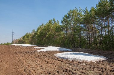 Bahar manzara. bahar alanında son kar. engebeli arazi. ağaçların yaprakları olmadan. ilk sıcak günleridir