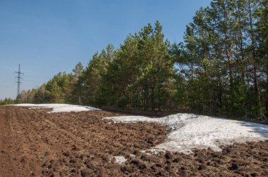 Bahar manzara. bahar alanında son kar. engebeli arazi. ağaçların yaprakları olmadan. ilk sıcak günleridir