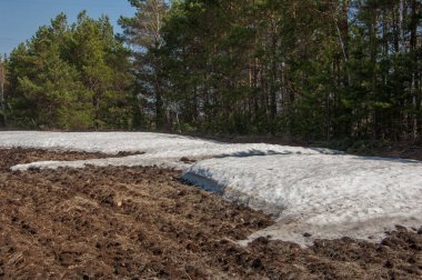 Bahar manzara. bahar alanında son kar. engebeli arazi. ağaçların yaprakları olmadan. ilk sıcak günleridir