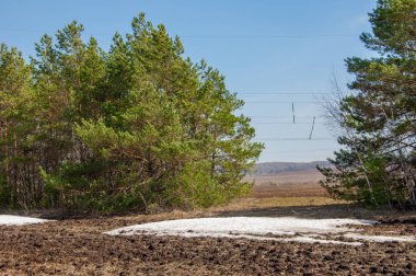 Bahar manzara. bahar alanında son kar. engebeli arazi. ağaçların yaprakları olmadan. ilk sıcak günleridir