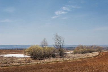 Bahar manzara. bahar alanında son kar. engebeli arazi. ağaçların yaprakları olmadan. ilk sıcak günleridir