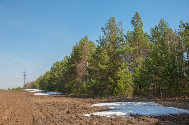 Bahar manzara. bahar alanında son kar. engebeli arazi. ağaçların yaprakları olmadan. ilk sıcak günleridir