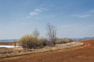 Bahar manzara. bahar alanında son kar. engebeli arazi. ağaçların yaprakları olmadan. ilk sıcak günleridir