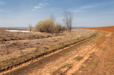 Bahar manzara. bahar alanında son kar. engebeli arazi. ağaçların yaprakları olmadan. ilk sıcak günleridir