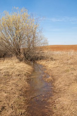 Bahar manzara. Taze sürülmüş alan. engebeli arazi. ağaçların yaprakları olmadan. Çok renkli bahar ağaçları. Geçen yılki kış kar kalan. Son kar.