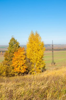 Sonbahar manzara, ağaç meşe akçaağaç sonbahar renkleri, eski çim boyanmıştı. Güzel renkli sonbahar yaprakları yeşil, sarı, turuncu, kırmızı topluluğu