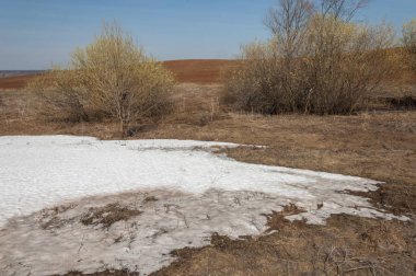 Bahar manzara. bahar alanında son kar. engebeli arazi. ağaçların yaprakları olmadan. ilk sıcak günleridir
