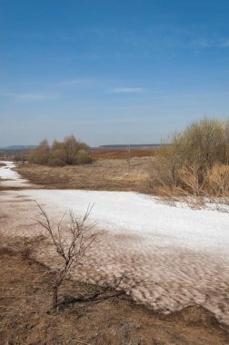 Bahar manzara. bahar alanında son kar. engebeli arazi. ağaçların yaprakları olmadan. ilk sıcak günleridir