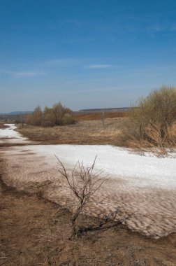 Bahar manzara. bahar alanında son kar. engebeli arazi. ağaçların yaprakları olmadan. ilk sıcak günleridir