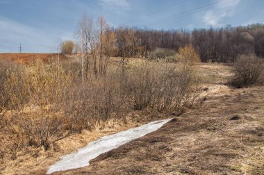 Bahar manzara. Taze sürülmüş alan. engebeli arazi. ağaçların yaprakları olmadan. Çok renkli bahar ağaçları. Geçen yılki kış kar kalan. Son kar.