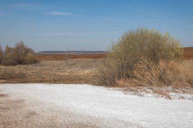 Bahar manzara. bahar alanında son kar. engebeli arazi. ağaçların yaprakları olmadan. ilk sıcak günleridir