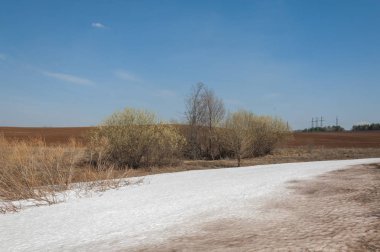 Bahar manzara. bahar alanında son kar. engebeli arazi. ağaçların yaprakları olmadan. ilk sıcak günleridir