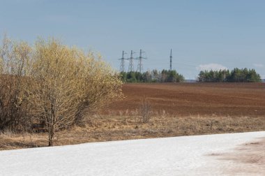 Bahar manzara. bahar alanında son kar. engebeli arazi. ağaçların yaprakları olmadan. ilk sıcak günleridir