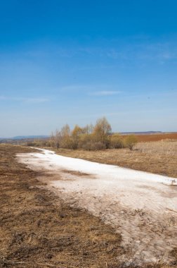 Bahar manzara. bahar alanında son kar. engebeli arazi. ağaçların yaprakları olmadan. ilk sıcak günleridir