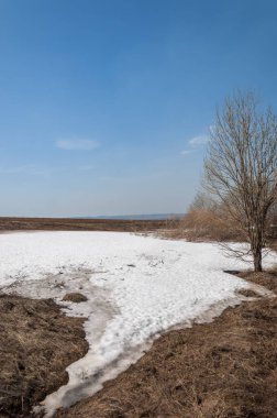 Bahar manzara. bahar alanında son kar. engebeli arazi. ağaçların yaprakları olmadan. ilk sıcak günleridir