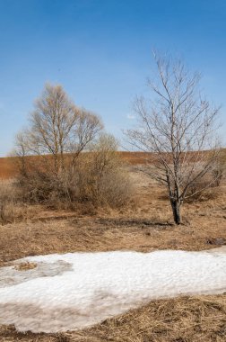 Bahar manzara. bahar alanında son kar. engebeli arazi. ağaçların yaprakları olmadan. ilk sıcak günleridir
