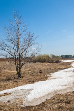 Bahar manzara. bahar alanında son kar. engebeli arazi. ağaçların yaprakları olmadan. ilk sıcak günleridir