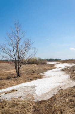 Bahar manzara. bahar alanında son kar. engebeli arazi. ağaçların yaprakları olmadan. ilk sıcak günleridir