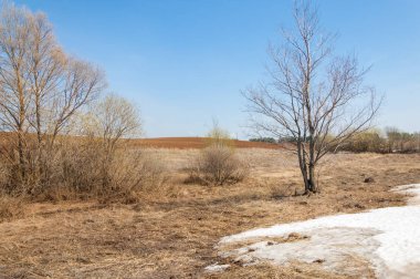 Bahar manzara. bahar alanında son kar. engebeli arazi. ağaçların yaprakları olmadan. ilk sıcak günleridir