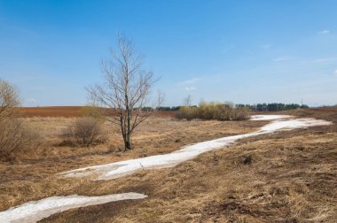 Bahar manzara. bahar alanında son kar. engebeli arazi. ağaçların yaprakları olmadan. ilk sıcak günleridir