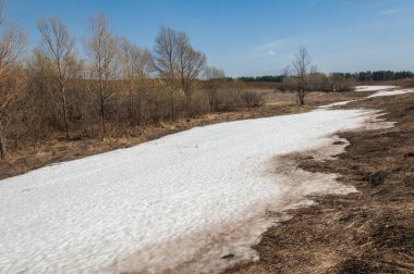 Bahar manzara. bahar alanında son kar. engebeli arazi. ağaçların yaprakları olmadan. ilk sıcak günleridir