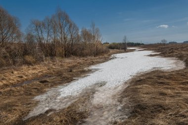 Bahar manzara. bahar alanında son kar. engebeli arazi. ağaçların yaprakları olmadan. ilk sıcak günleridir