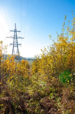 Sonbahar sahneleri. Energo. Yeşil enerji, enerji santrali, yakın yüksek voltajlı güç hatları kavramı. Güç Dağıtım İstasyonu. yüksek voltajlı elektrik iletim bir pilon siluet kulenin.
