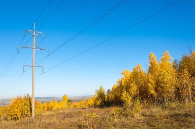 Sonbahar sahneleri. Energo. Yeşil enerji, enerji santrali, yakın yüksek voltajlı güç hatları kavramı. Güç Dağıtım İstasyonu. yüksek voltajlı elektrik iletim bir pilon siluet kulenin.