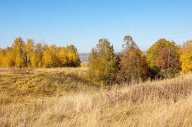 Sonbahar manzara, ağaç meşe akçaağaç sonbahar renkleri, eski çim boyanmıştı. Güzel renkli sonbahar yaprakları yeşil, sarı, turuncu, kırmızı topluluğu
