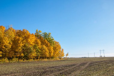 Sonbahar sahneleri. Energo. Yeşil enerji, enerji santrali, yakın yüksek voltajlı güç hatları kavramı. Güç Dağıtım İstasyonu. yüksek voltajlı elektrik iletim bir pilon siluet kulenin.