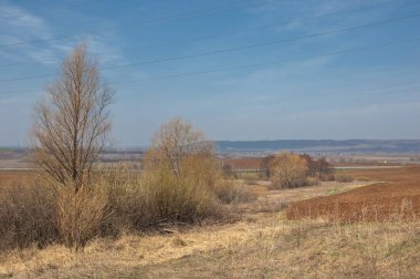 Bahar manzara. Taze sürülmüş alan. engebeli arazi. ağaçların yaprakları olmadan. Çok renkli bahar ağaçları. Geçen yılki kış kar kalan. Son kar.