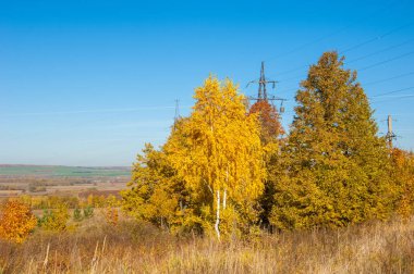 Sonbahar sahneleri. Energo. Yeşil enerji, enerji santrali, yakın yüksek voltajlı güç hatları kavramı. Güç Dağıtım İstasyonu. yüksek voltajlı elektrik iletim bir pilon siluet kulenin.