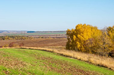 Sonbahar manzara, ağaç meşe akçaağaç sonbahar renkleri, eski çim boyanmıştı. Güzel renkli sonbahar yaprakları yeşil, sarı, turuncu, kırmızı topluluğu