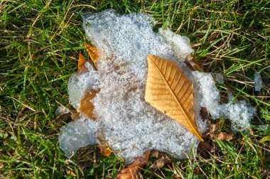 Parkta, ilk kar, kar yaprakları sonbaharda. Kuzey Afrika Sonbahar, kırmızı sarı yapraklar