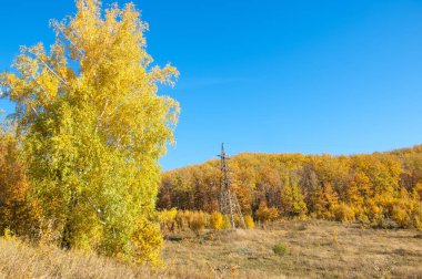 Sonbahar manzara, ağaç meşe akçaağaç sonbahar renkleri, eski çim boyanmıştı. Güzel renkli sonbahar yaprakları yeşil, sarı, turuncu, kırmızı topluluğu