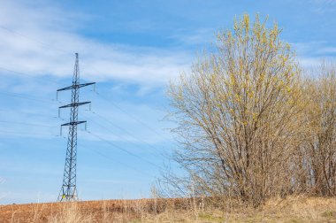 Bahar manzara. Taze sürülmüş alan. engebeli arazi. ağaçların yaprakları olmadan. Çok renkli bahar ağaçları. Geçen yılki kış kar kalan. Son kar.