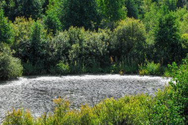 Yaz manzara. Bataklık, marsh, bataklık, quagmire, sazlık, durgun. Yüzölçümü düşük, ekilmemiş yer nerede su toplar; Bir bataklık ya da bataklık.