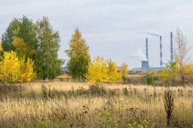 doğal manzara. Sonbahar manzara. Geç sonbaharda büyük bir şehir, bir banliyösünde. Altın ağaçlar, Kuru ot. bulutlu hava. Bulut gökyüzü kapakları, güneşin parlamadığı değil, Rüzgar uluyor alanında,